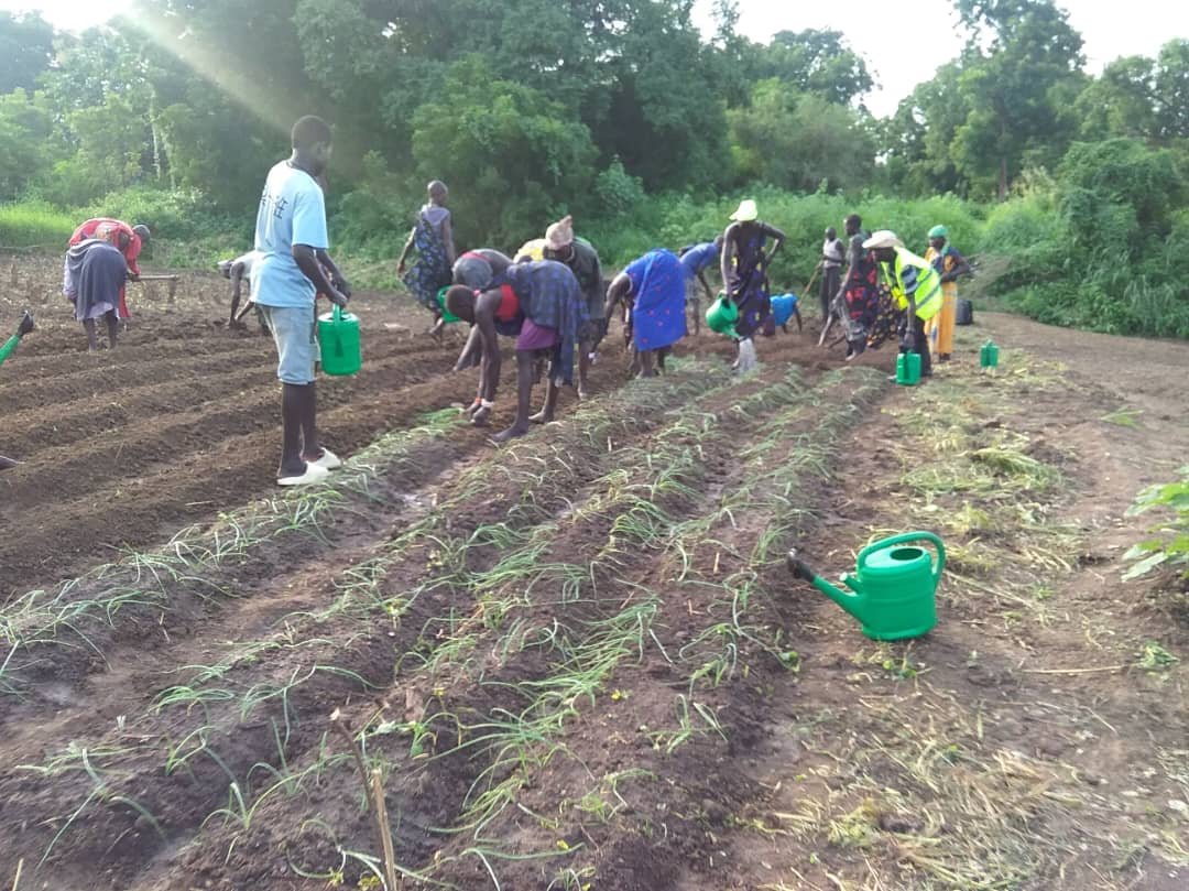 Agricultural Training   Terekeka County, South Sudan